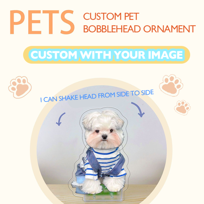 Personalized Pet Bobblehead Stand | DIY Desktop or Car Dashboard Decoration