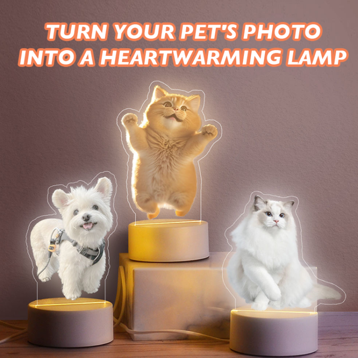 Personalized LED Bedside Lamp | Unique Gift for Pet Lovers and Kids